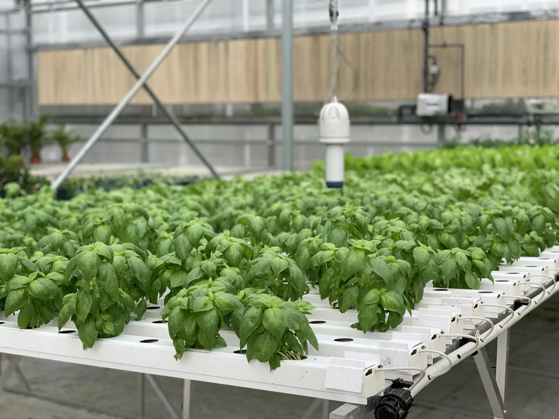 Agriculture in Israel